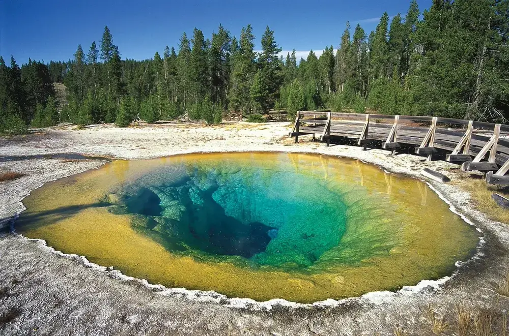 Yellowstone National Park Geyser Basin